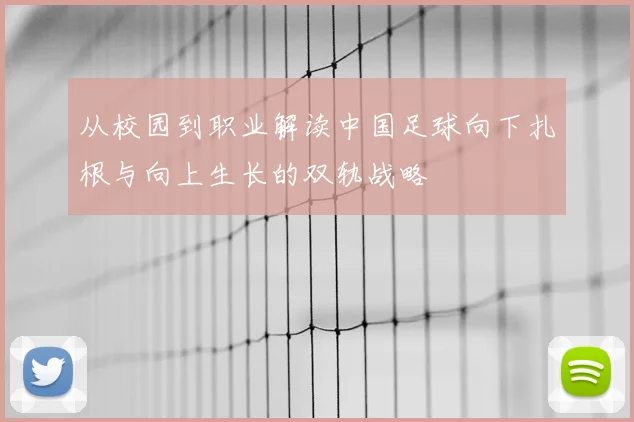 从校园到职业解读中国足球向下扎根与向上生长的双轨战略