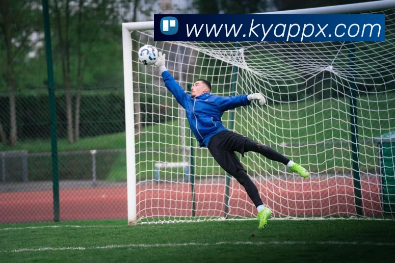 App Interface Preview