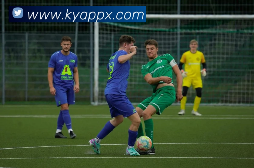 开云体育APP 封面图